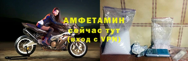 гидра Володарск