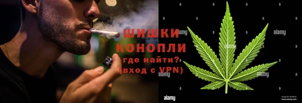 ГАЛЛЮЦИНОГЕННЫЕ ГРИБЫ Верхнеуральск