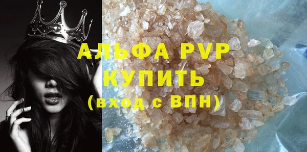 гидра Володарск