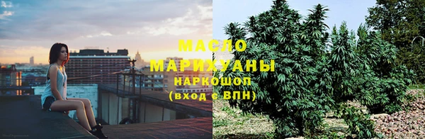 гидра Володарск