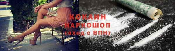 гидра Володарск