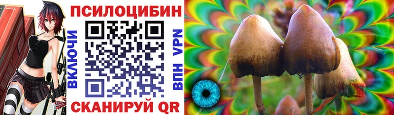 закладки  Армавир  Галлюциногенные грибы Psilocybe 